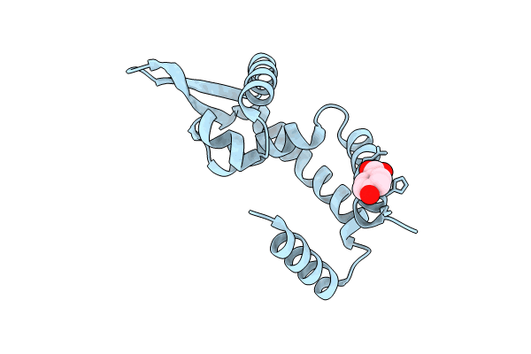 8WSV image