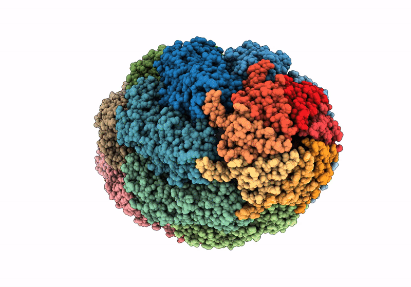 8WUC image