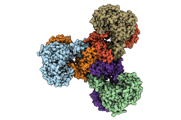 8WV6 image