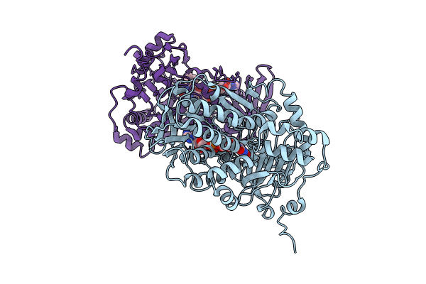 8WVF image