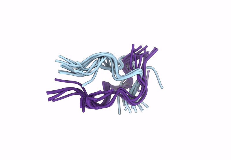 8WVS image