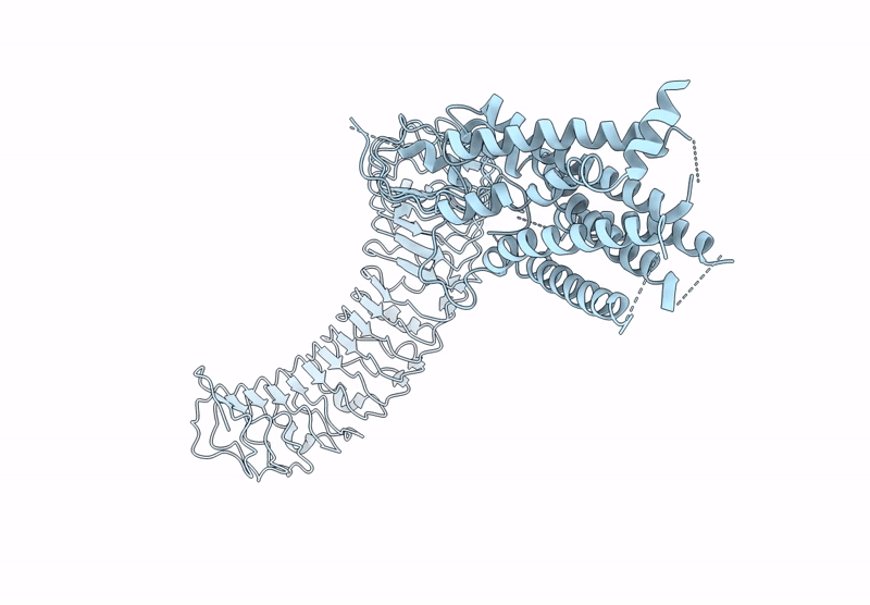 8WVV image