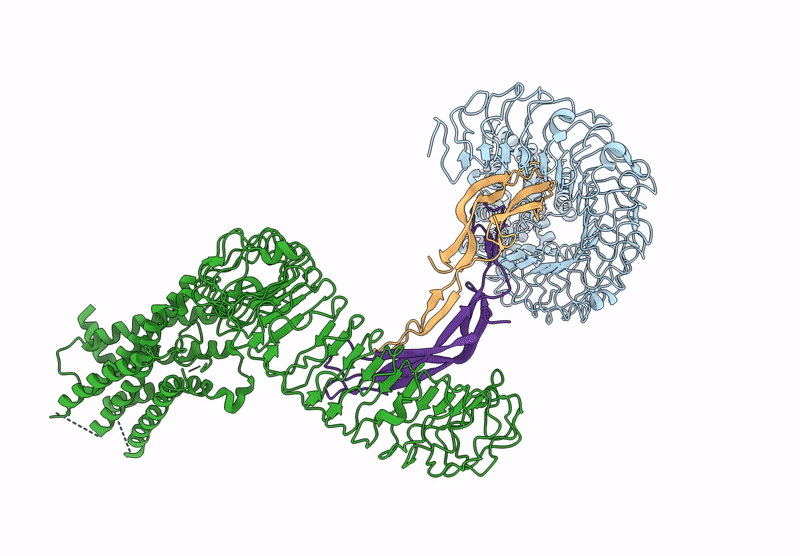 8WVX image