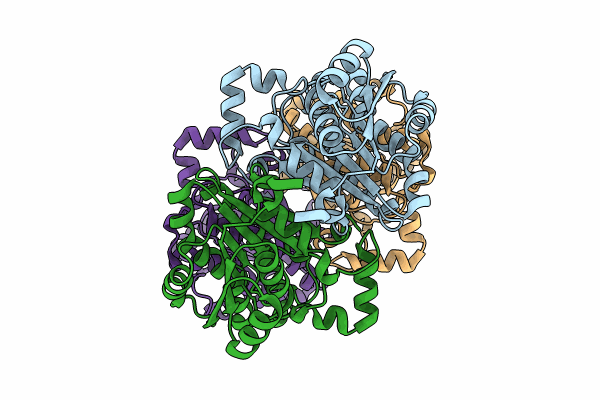 8WWF image