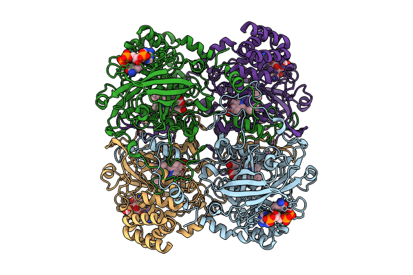 8WZK image