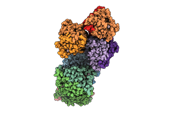 8X0V image