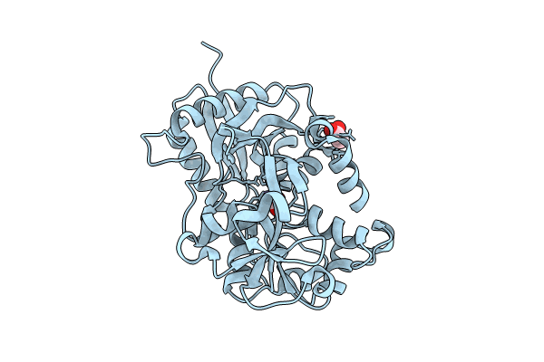 8X3H image
