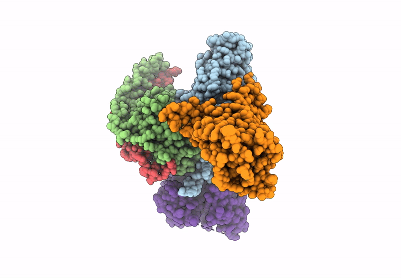 8X3L image
