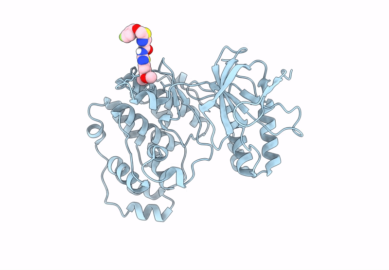 8X3M image