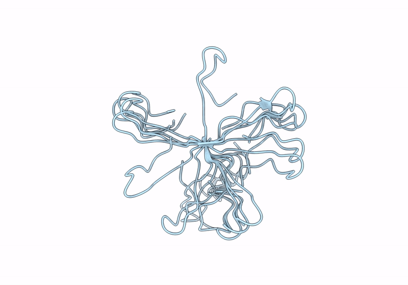 8X40 image