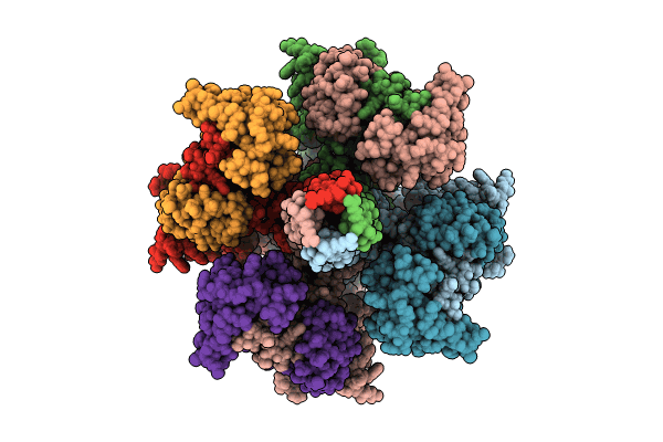 8X43 image