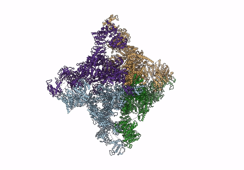 8X49 image