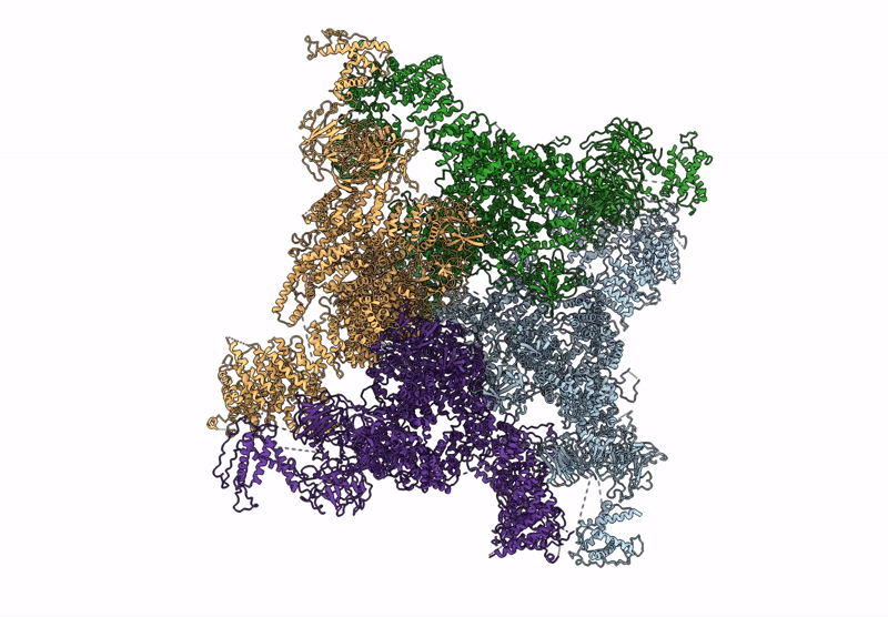 8X4A image