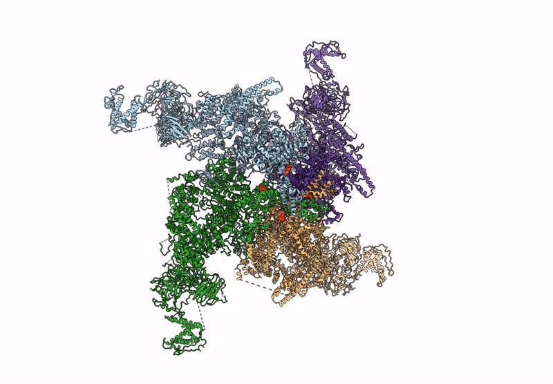 8X4C image