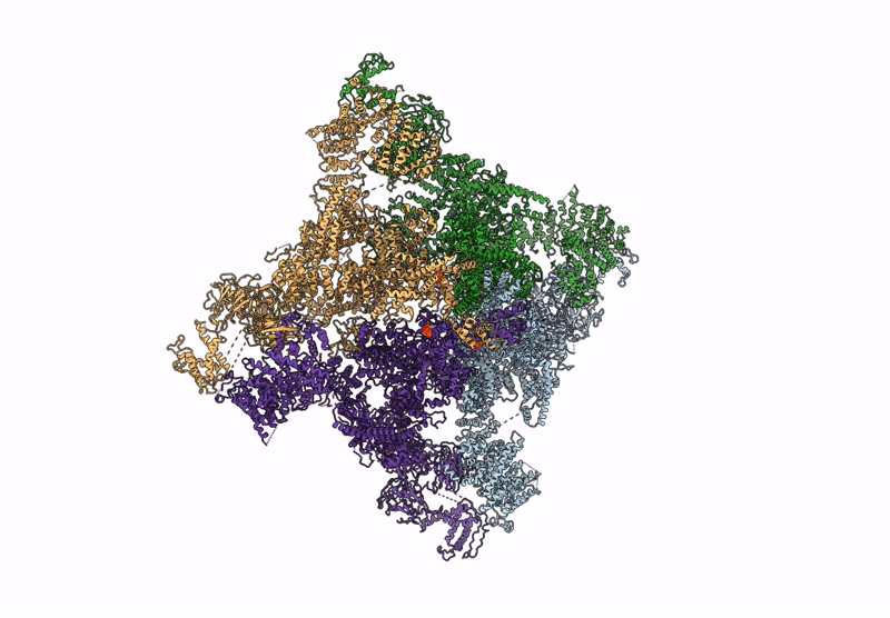 8X4D image