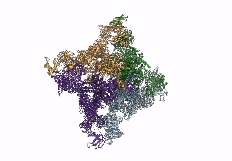 8X4E image