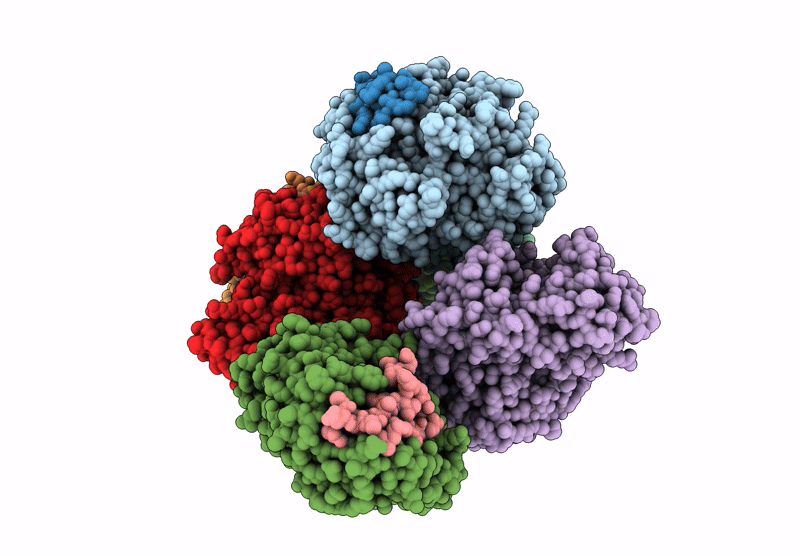 8X4S image