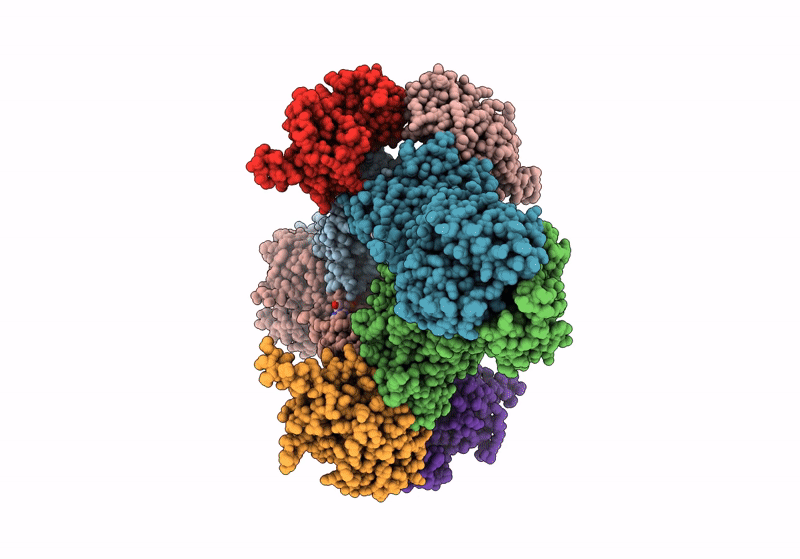 8X5N image