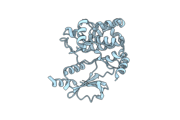 8X5Z image