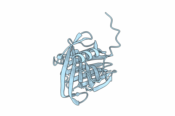 8X65 image
