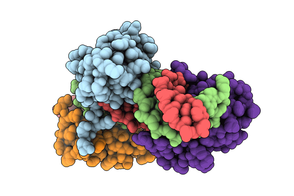 8X6D image