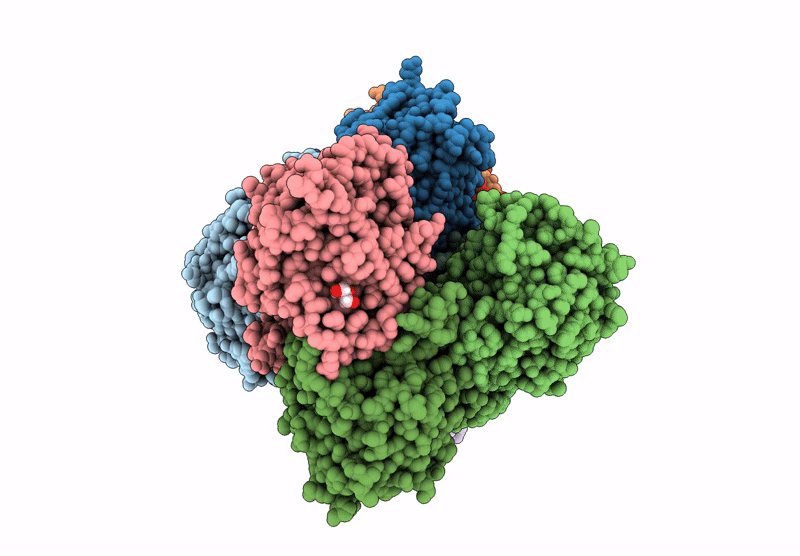 8X78 image