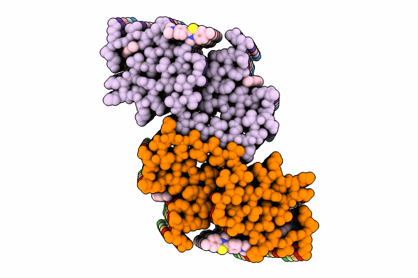 8X7B image