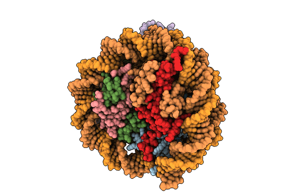 8X7K image