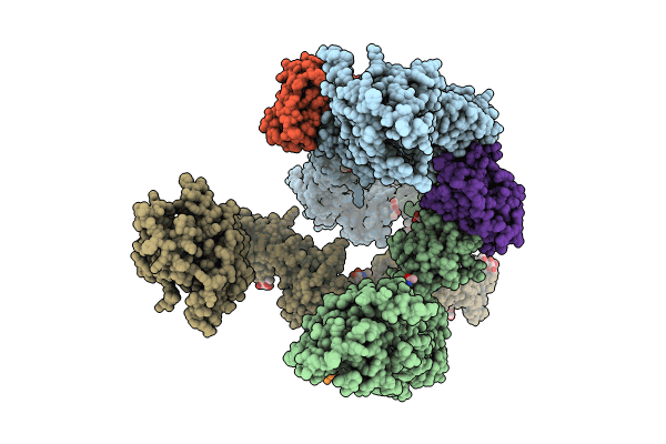 8X81 image