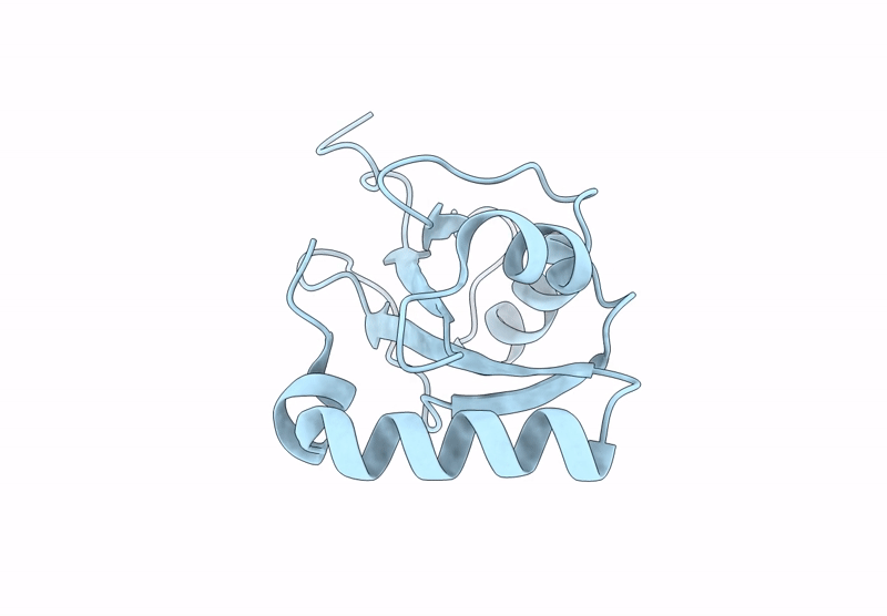 8X8U image