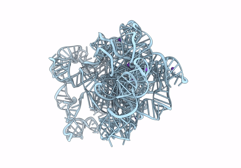 8X9N image