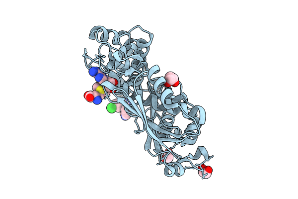 8XAR image