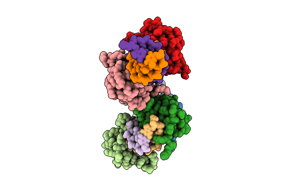 8XAS image