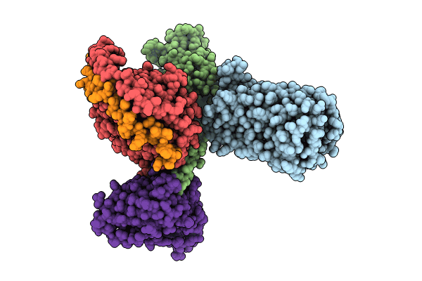 8XBE image