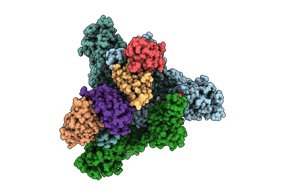 8XBF image