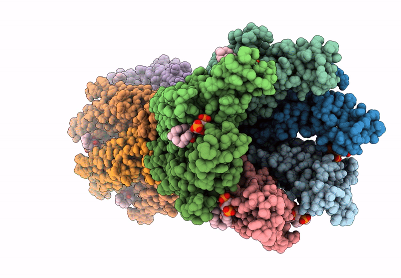 8XBM image