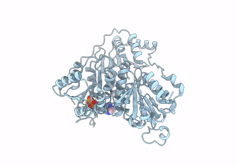 8XBQ image