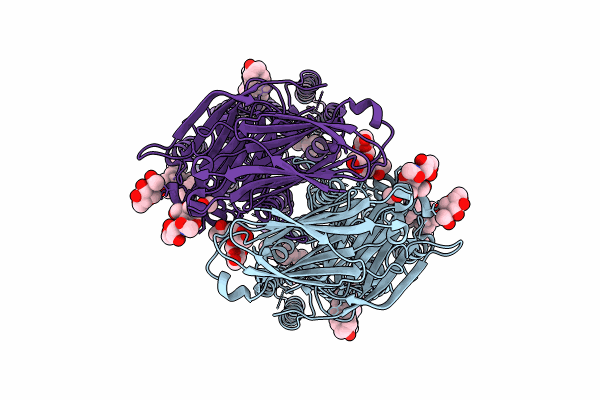 8XBS image