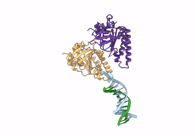 8XBV image