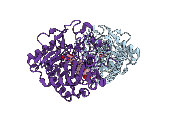 8XC3 image