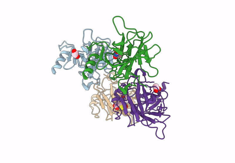 8XCB image