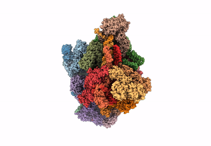 8XCH image