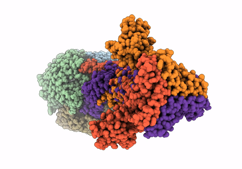 8XCJ image