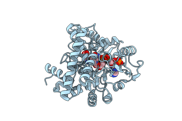 8XCR image