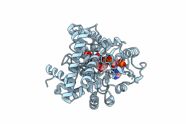 8XCS image