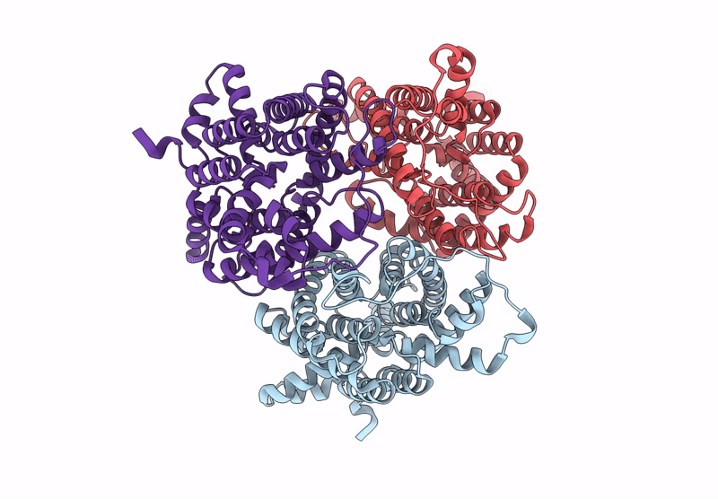 8XDF image