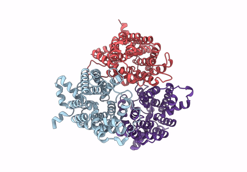 8XDG image