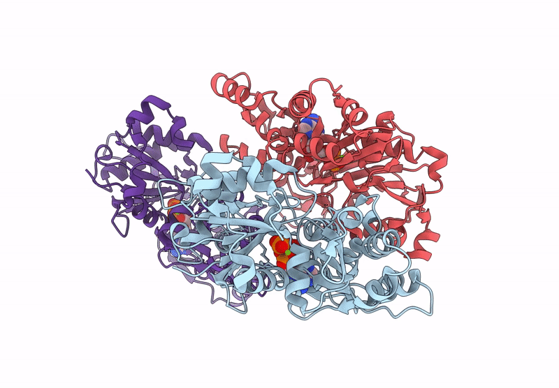 8XDL image