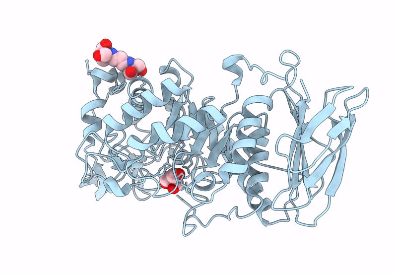 8XDX image