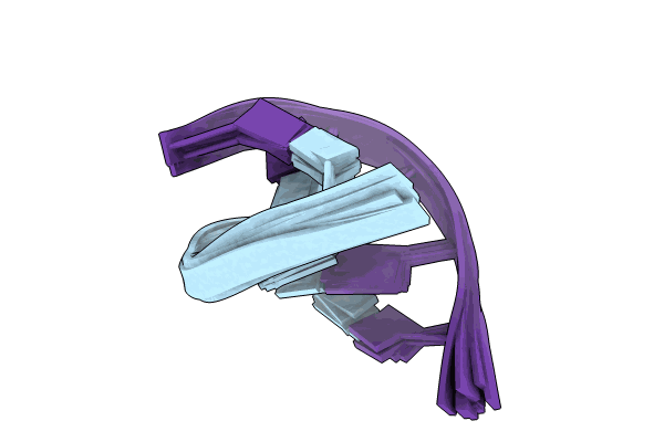 8XEQ image
